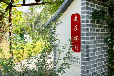青浦宝藏林地了解下