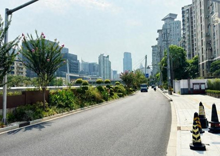 普陀两条道路焕新颜